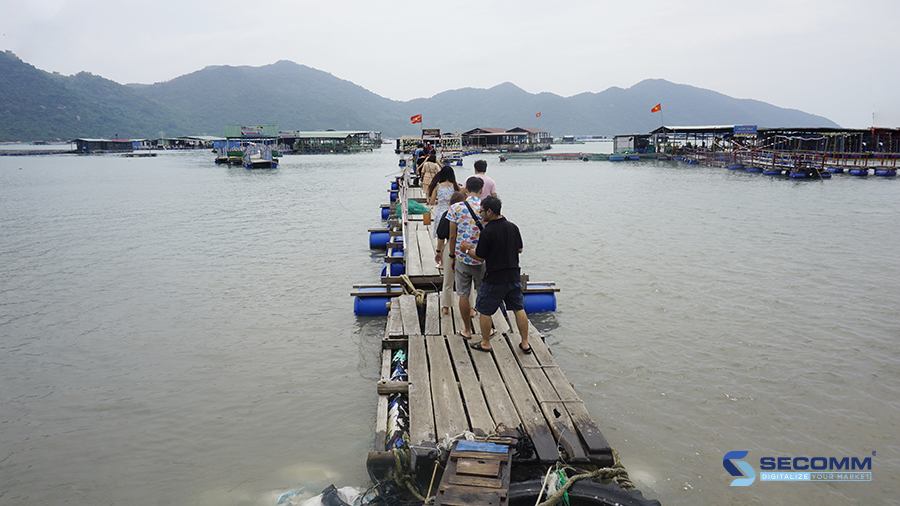 eco-floating rafts at Vung Ro Bay